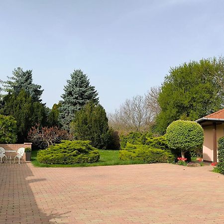 Korona Panzio Bed & Breakfast Balatonberény Eksteriør bilde
