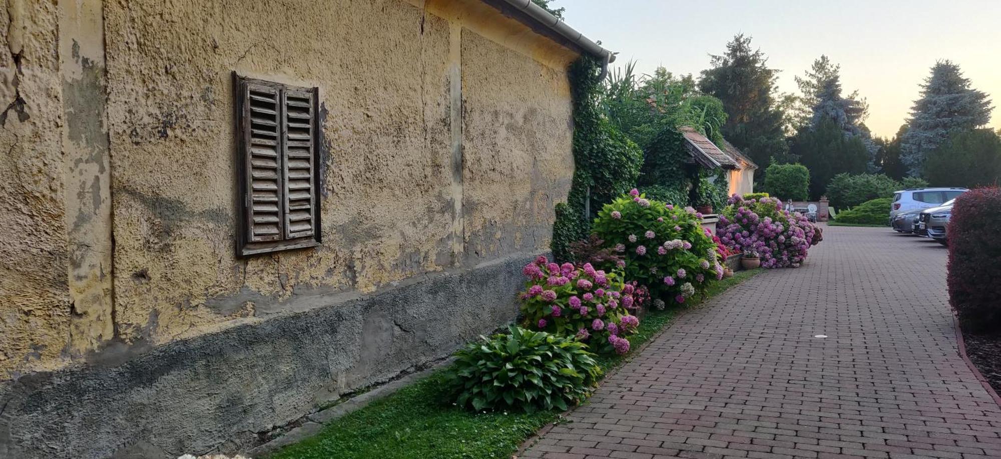 Korona Panzio Bed & Breakfast Balatonberény Eksteriør bilde