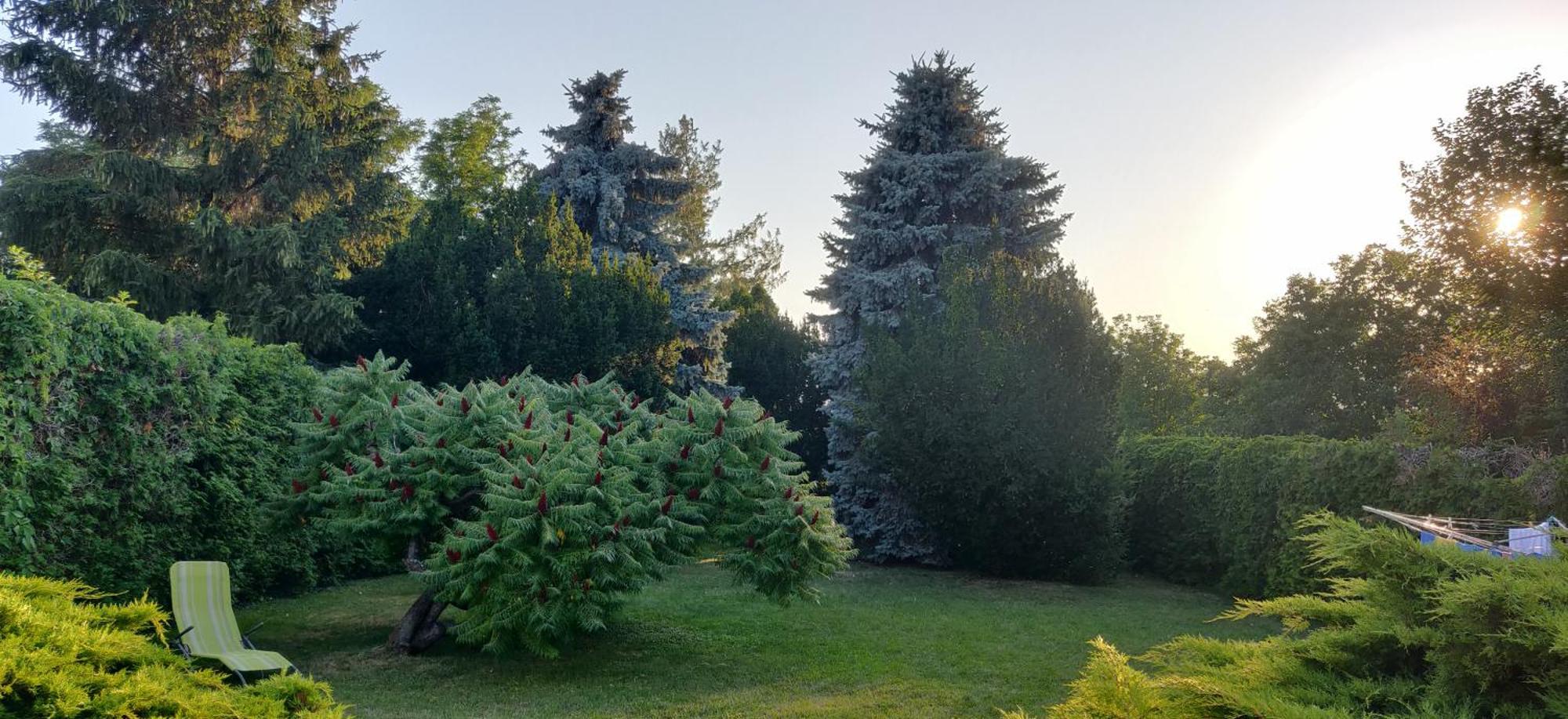 Korona Panzio Bed & Breakfast Balatonberény Eksteriør bilde