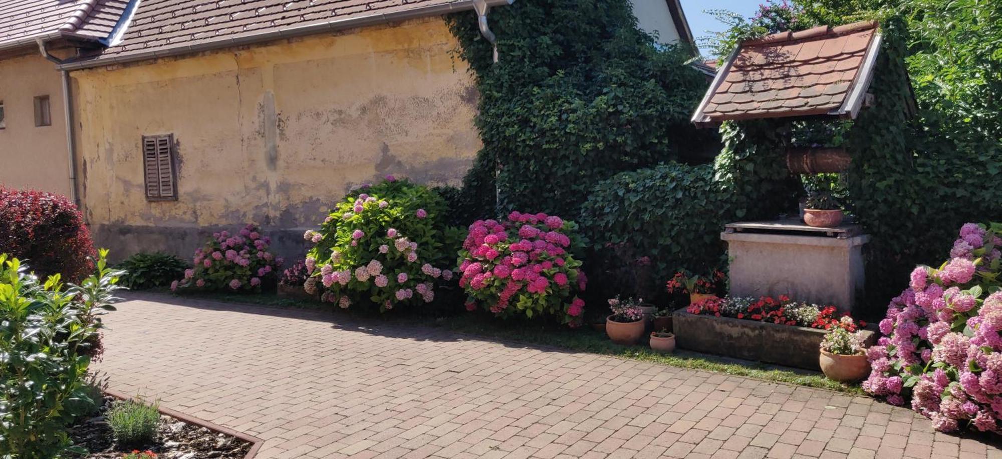 Korona Panzio Bed & Breakfast Balatonberény Eksteriør bilde