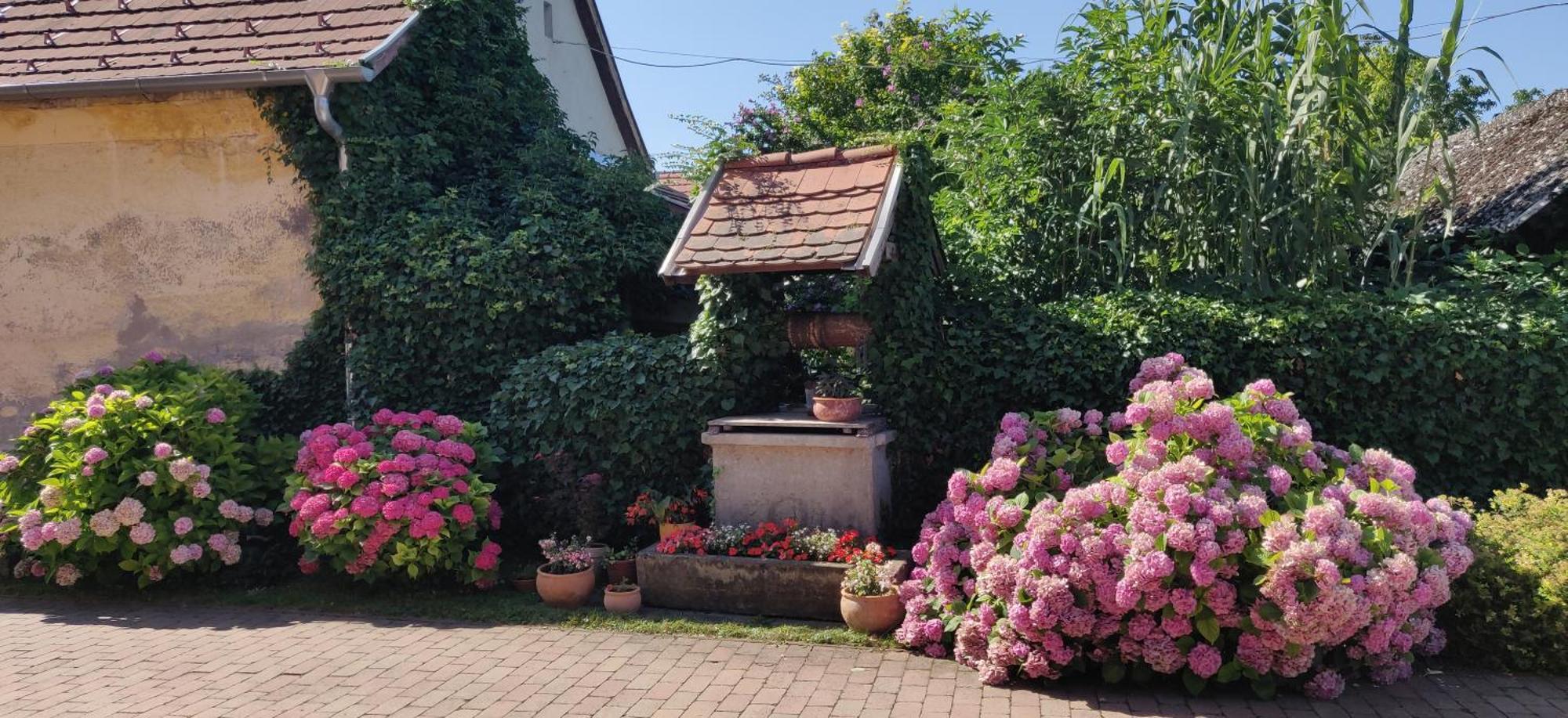 Korona Panzio Bed & Breakfast Balatonberény Eksteriør bilde